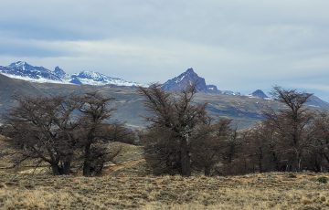 Esta excursión nos lleva desde los 400 mts que estamos hasta los 1.500 metros s.n.m. Viviendo la transición desde la Estepa patagónica hasta el paisaje de Alta Montaña cuando llegamos a la zona del Portezuelo.