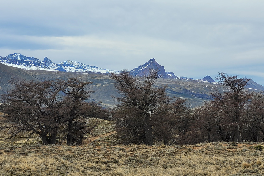 Esta excursión nos lleva desde los 400 mts que estamos hasta los 1.500 metros s.n.m. Viviendo la transición desde la Estepa patagónica hasta el paisaje de Alta Montaña cuando llegamos a la zona del Portezuelo.