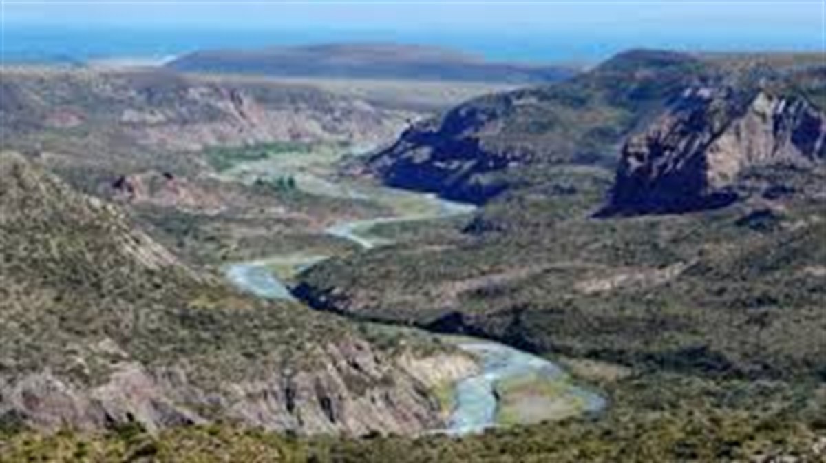 Ruta 41